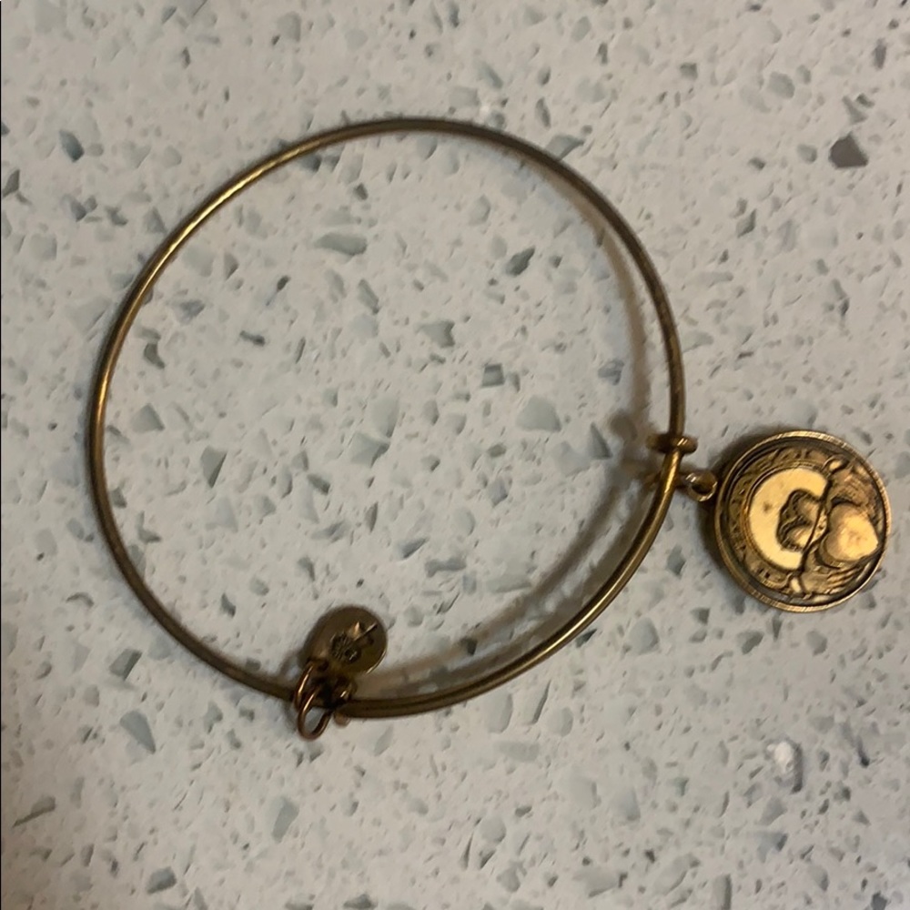 Alex and ani bracelet